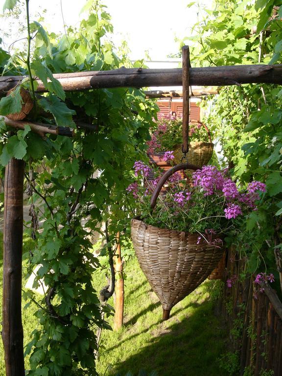 Albergo 'La Vigna' Procida Buitenkant foto