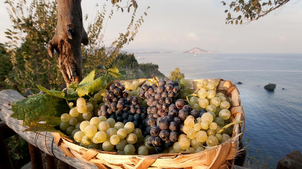 Albergo 'La Vigna' Procida Buitenkant foto