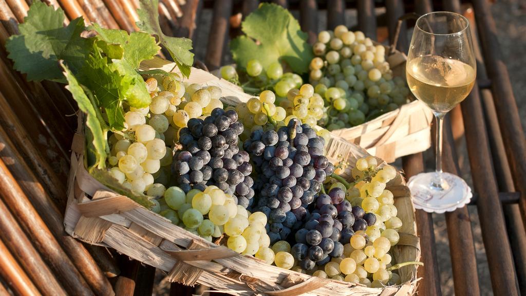 Albergo 'La Vigna' Procida Buitenkant foto