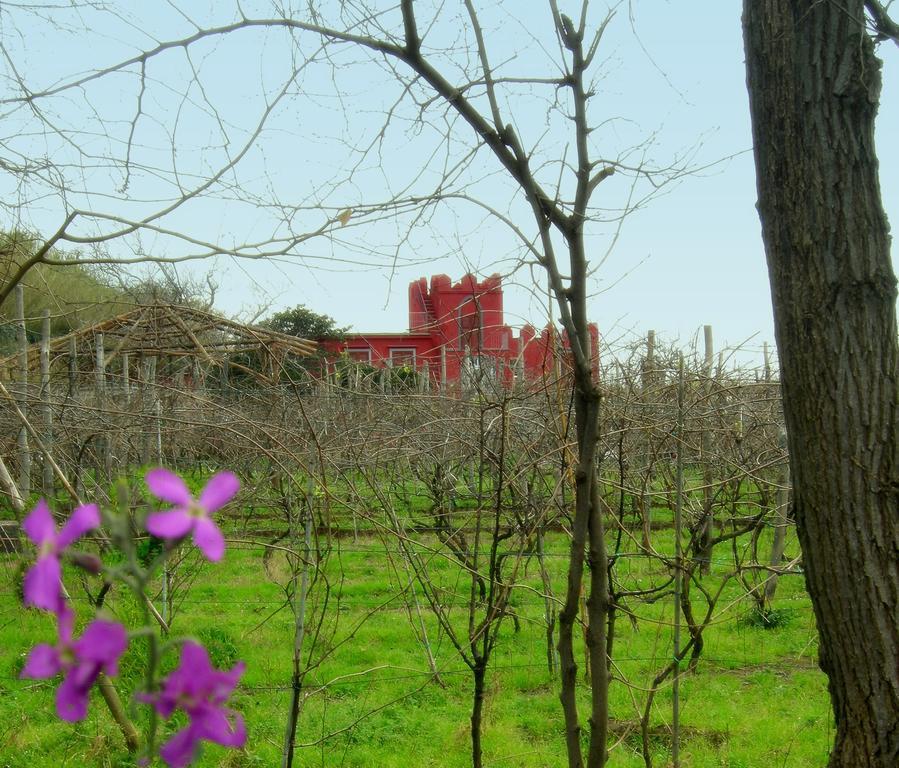 Albergo 'La Vigna' Procida Buitenkant foto