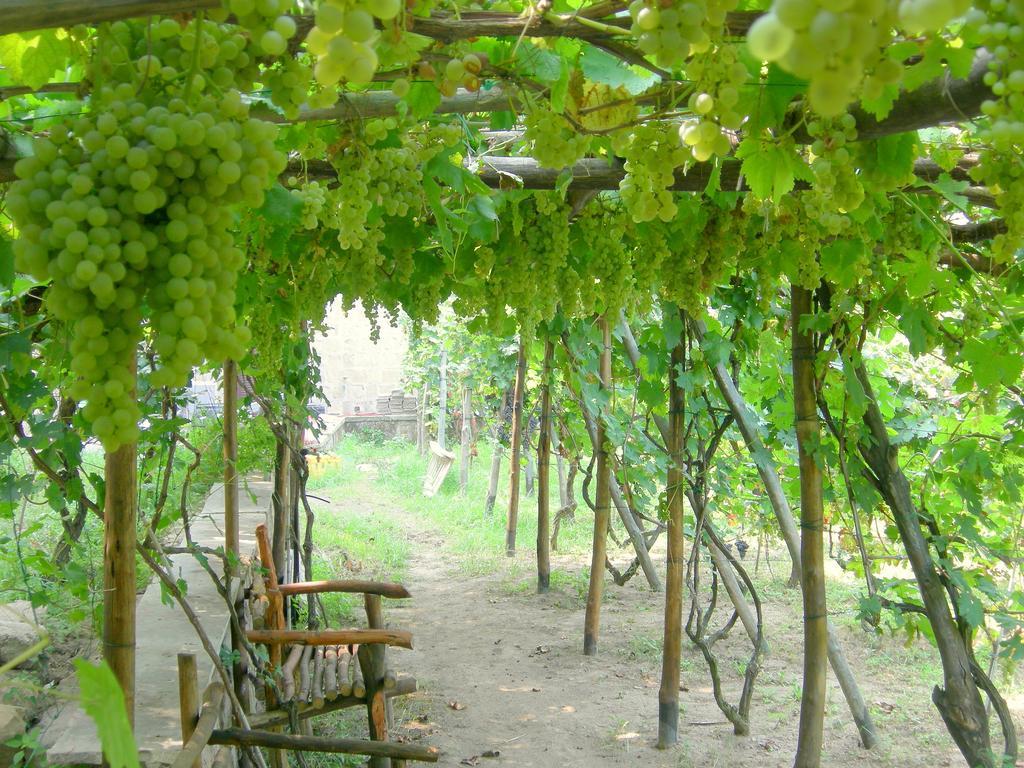 Albergo 'La Vigna' Procida Buitenkant foto